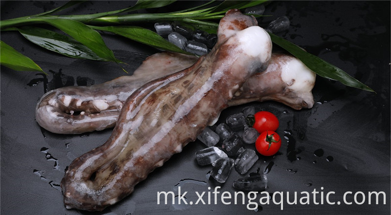 Squid Tentacles